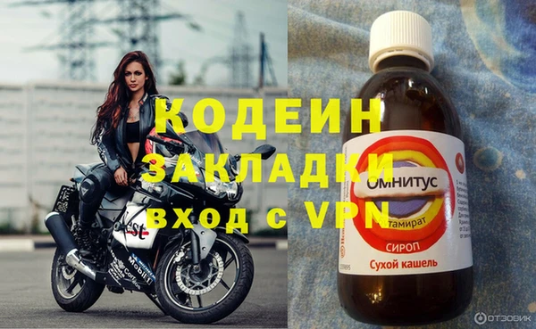 прущие грибы Горняк