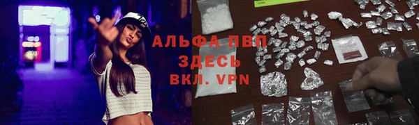 спайс Вяземский