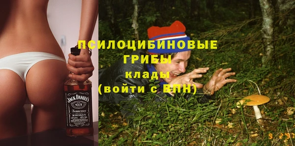 спайс Вяземский