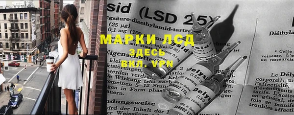 PSILOCYBIN Вязьма