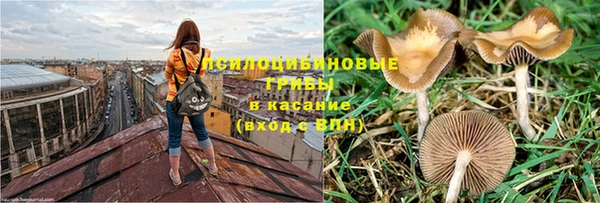 спайс Вяземский