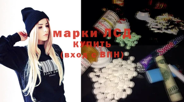 прущие грибы Горняк